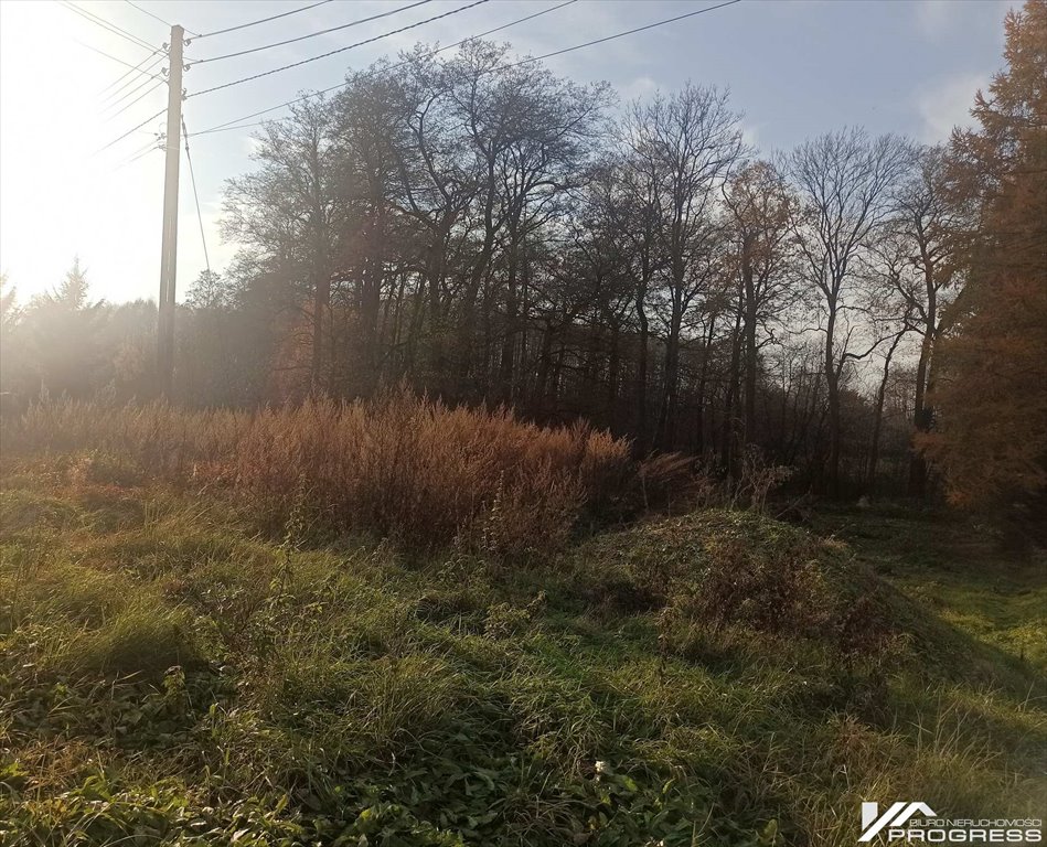 Działka budowlana na sprzedaż Krosno, Turaszówka, Klonowa  1 962m2 Foto 7