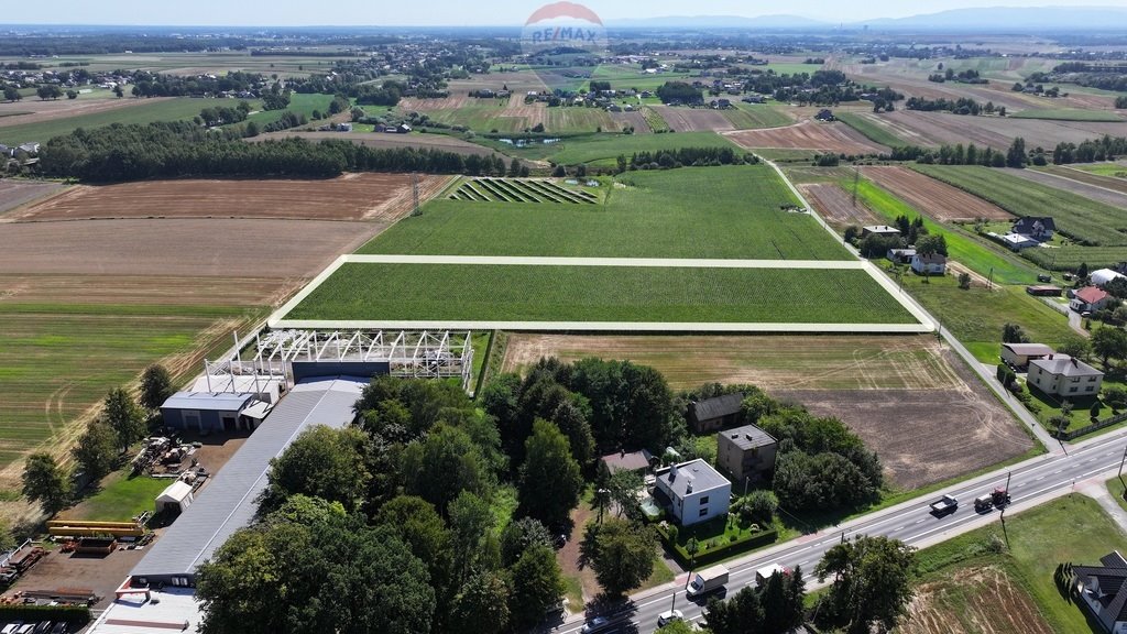 Działka przemysłowo-handlowa na sprzedaż Świerklany, Świerklany Górne  18 900m2 Foto 5