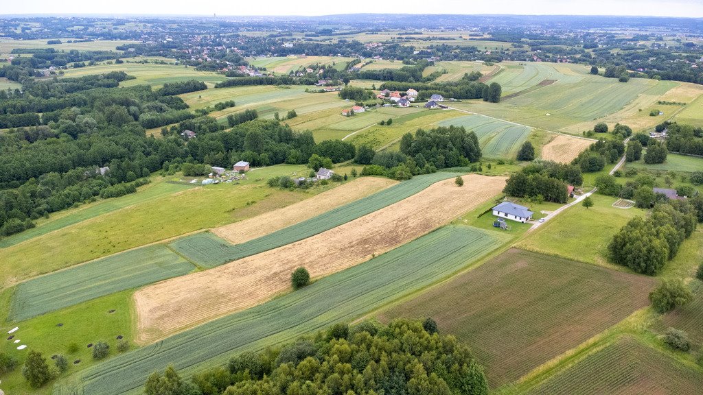 Działka budowlana na sprzedaż Niechobrz  18 300m2 Foto 7