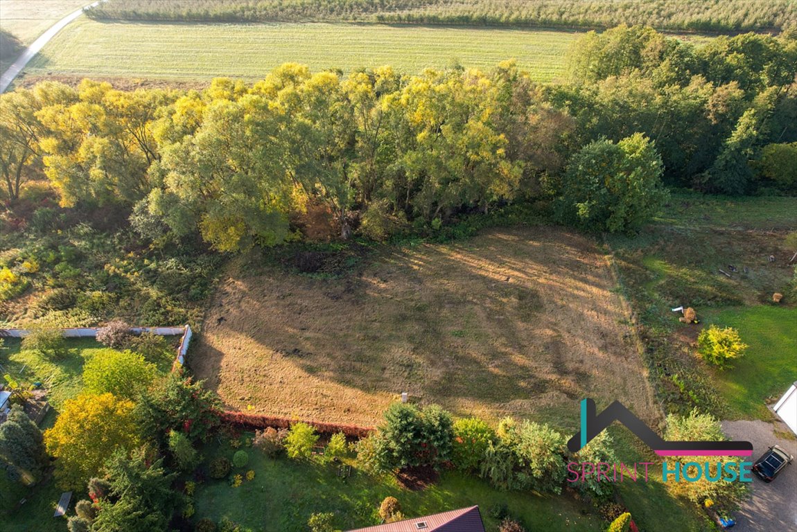 Działka budowlana na sprzedaż Cieciszew  1 230m2 Foto 4