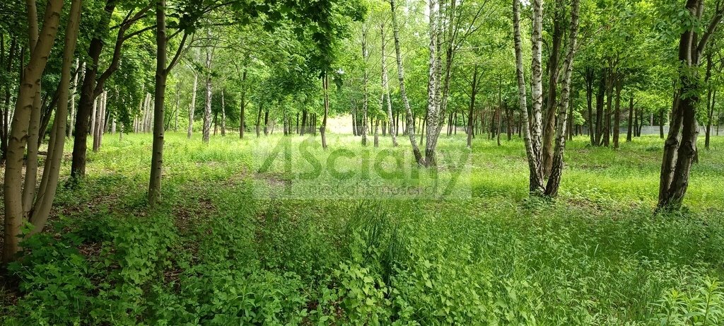 Działka budowlana 10 626 m² z dostępem do mediów i asfaltową drogą Grodzisk Mazowiecki  10 626m2 Foto 1