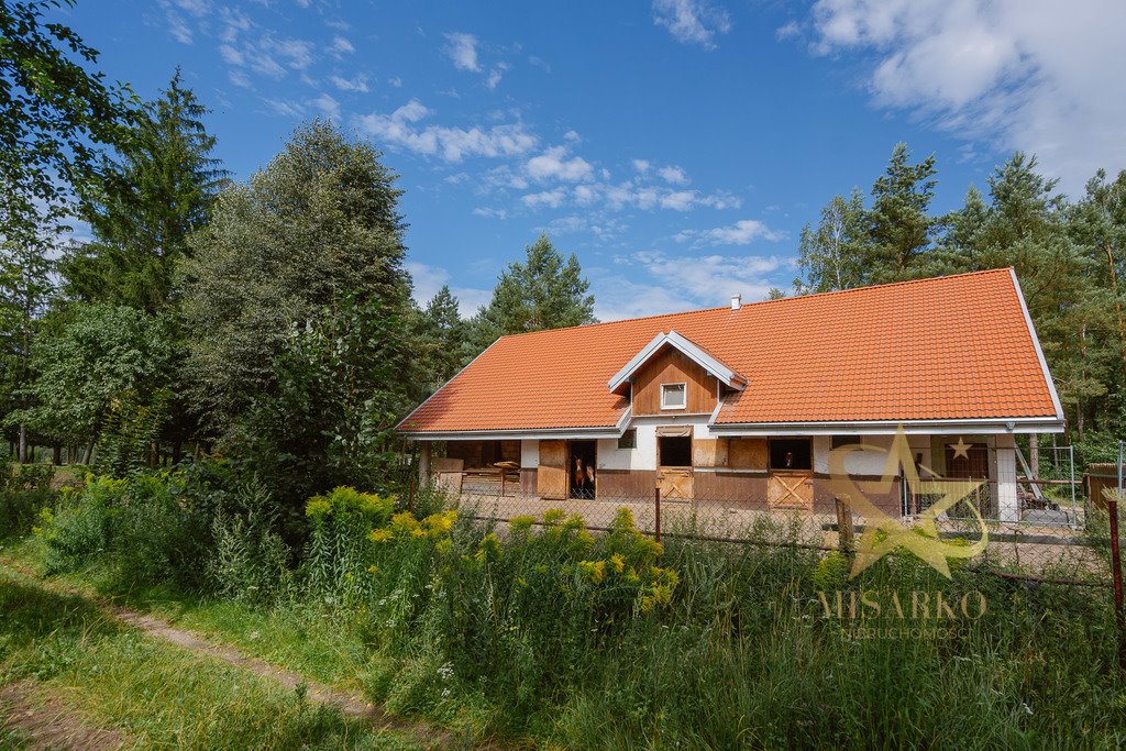 Dom na sprzedaż Górany  600m2 Foto 7