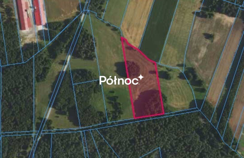 Działka 1,7 ha pod gospodarstwo, las i pastwiska Rynki  17 000m2 Foto 1