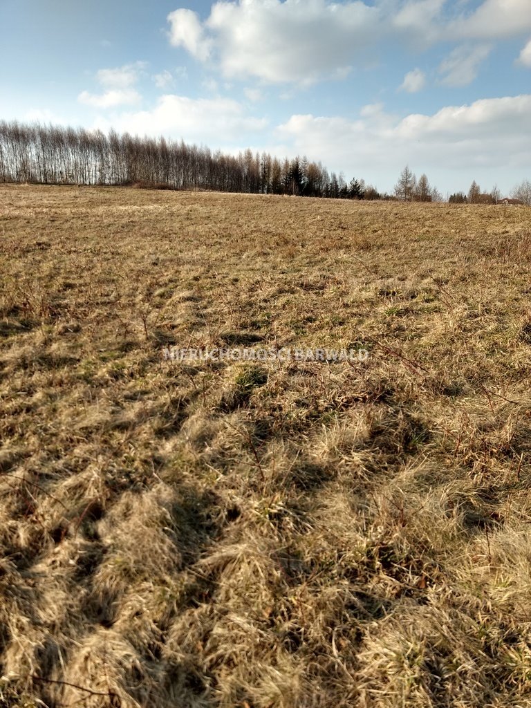 Działka rolna na sprzedaż Podolany  32 800m2 Foto 1