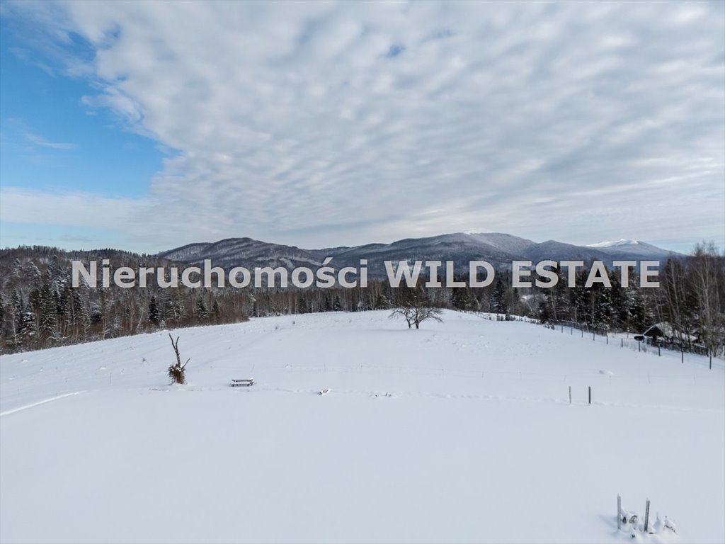 Działka inna na sprzedaż Cisna, Strzebowiska  68 700m2 Foto 7