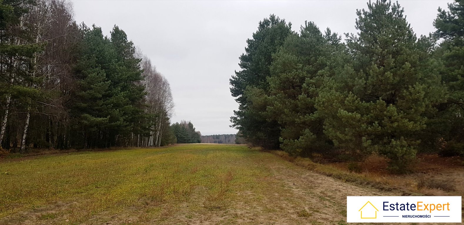 Działka rolna na sprzedaż Jeżów, Jeżów  16 600m2 Foto 1