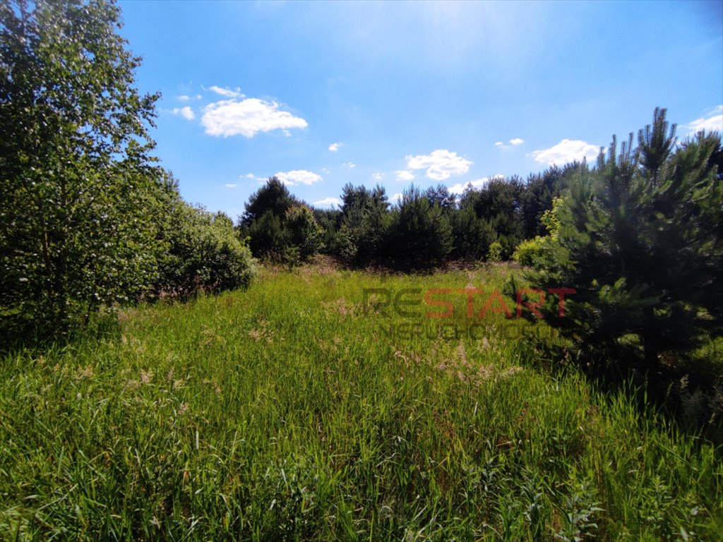 Działka budowlana na sprzedaż Tomaszew  3 150m2 Foto 1