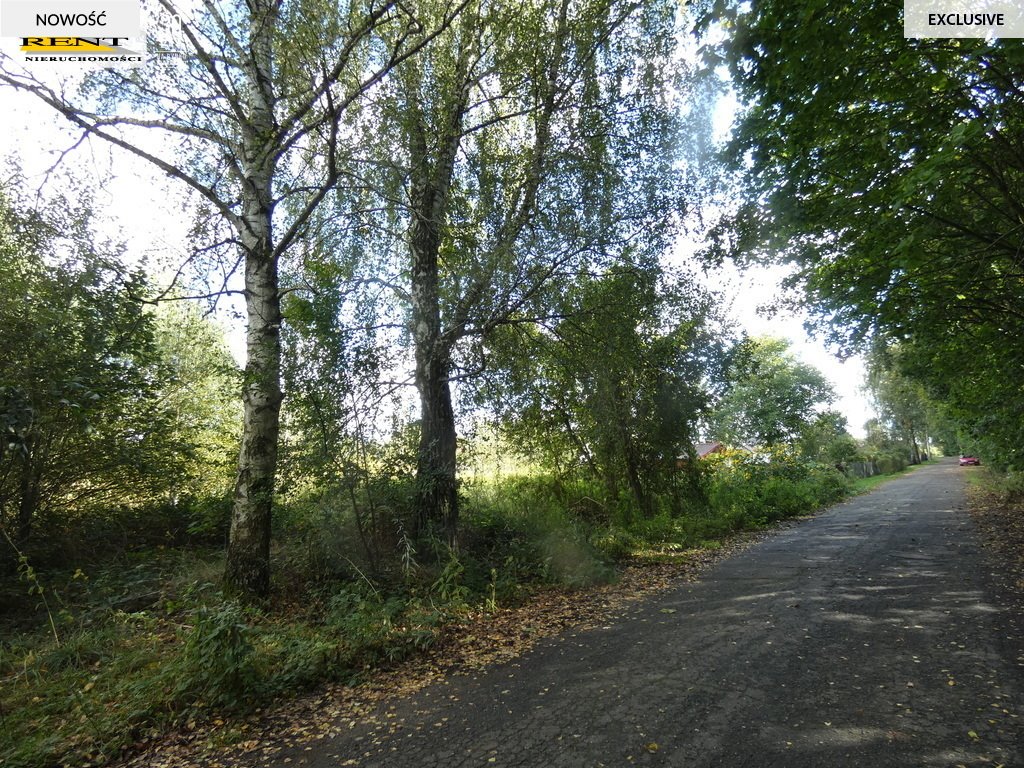 Działka budowlana na sprzedaż Goleniów, Ogrodowa  3 000m2 Foto 2