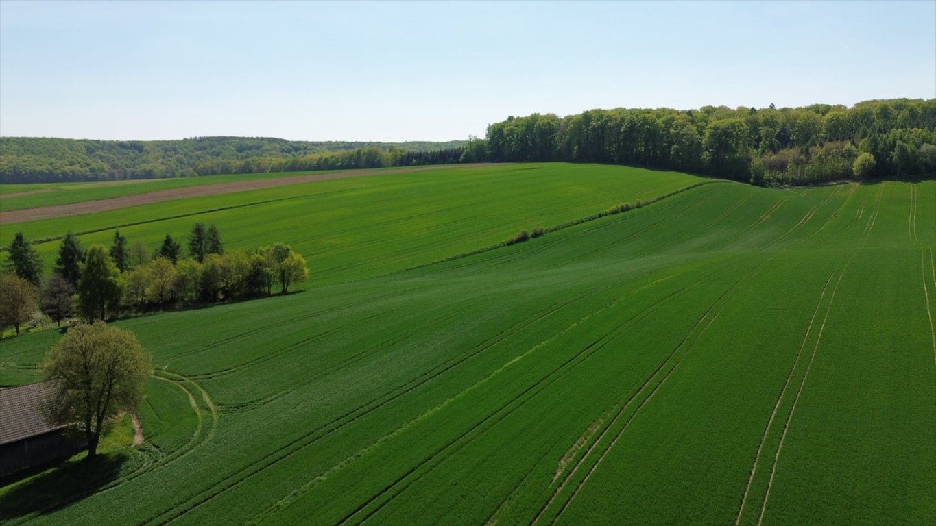 Widokowe działki budowlane 10 i 15 ar w Kępie, blisko Krakowa Kępa, Kępa, 19a  1 000m2 Foto 1