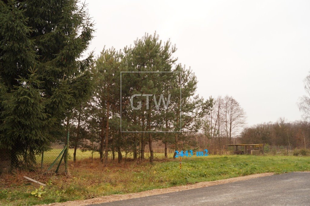 Działka budowlana 2443 m² z drogą dojazdową i mediami Duży Dół  2 443m2 Foto 1