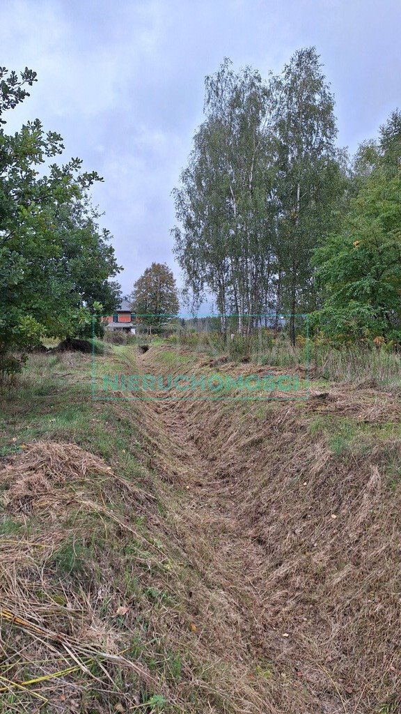 Działka budowlana na sprzedaż Bieganów  10 300m2 Foto 5