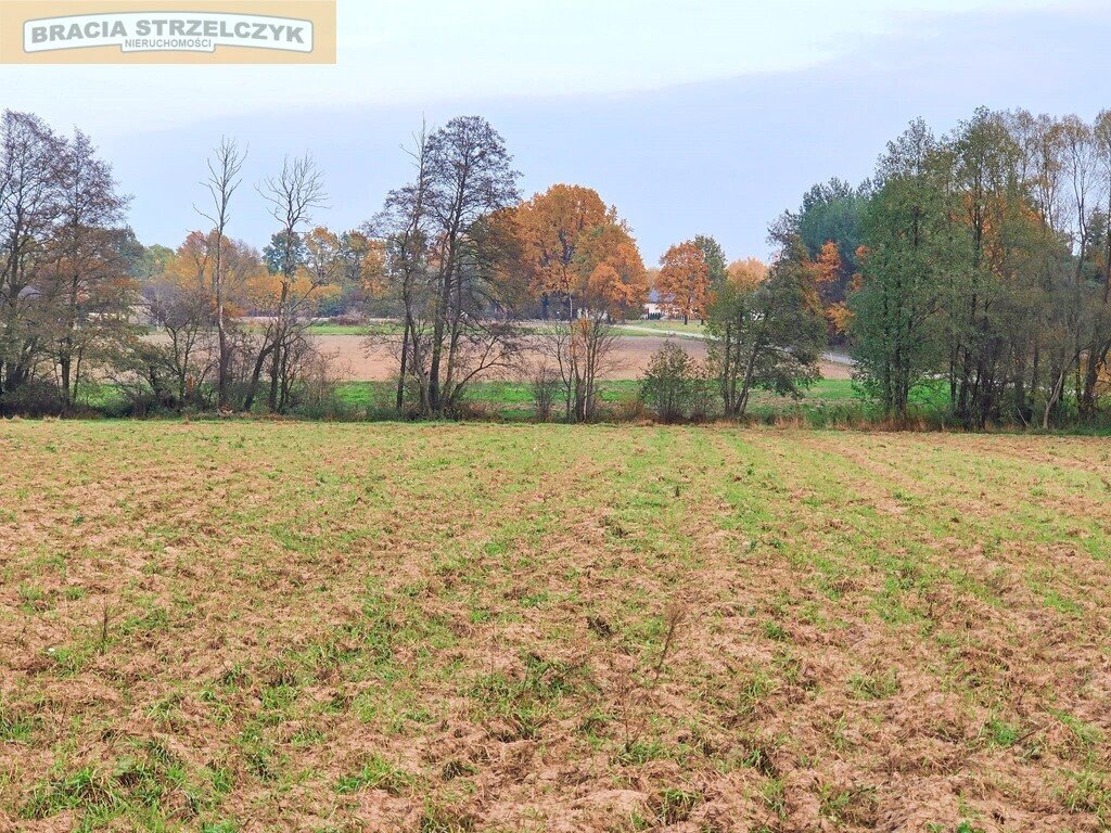 Działka budowlana na sprzedaż Słubica Dobra  1 544m2 Foto 3