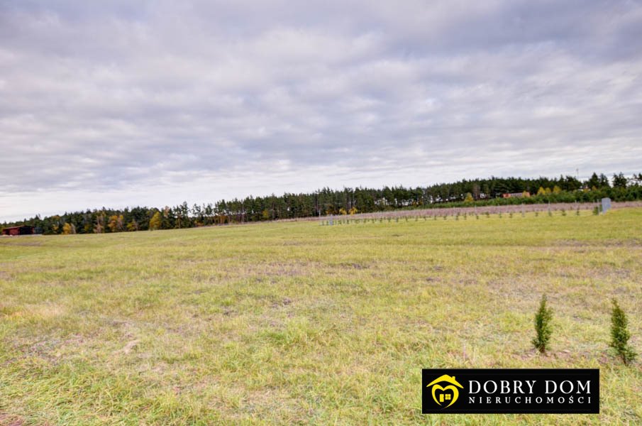 Działka budowlana na sprzedaż Danowskie  1 000m2 Foto 2