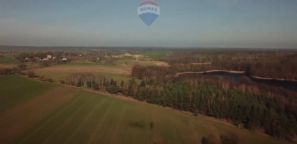 Działka rekreacyjna na sprzedaż Warnice  88 800m2 Foto 13