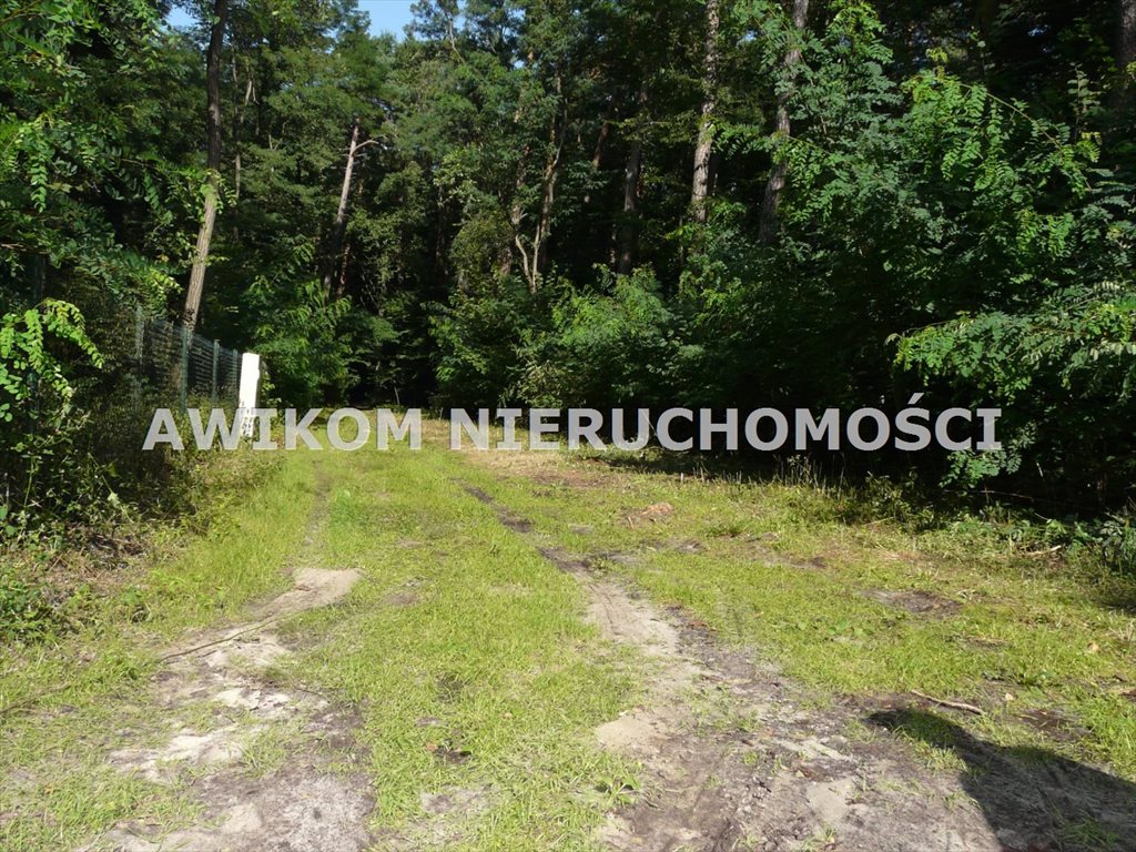 Działka budowlana na sprzedaż Olszanka  4 020m2 Foto 12