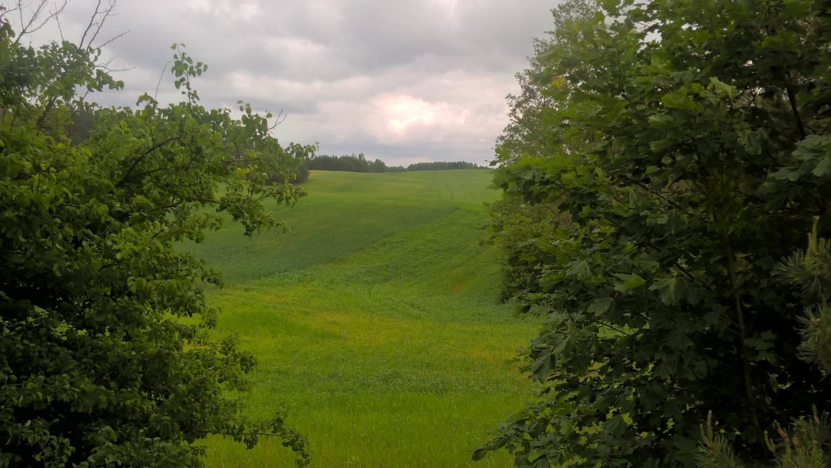 Działka rekreacyjna na sprzedaż Stare Juchy, Stare Juchy  3 000m2 Foto 11