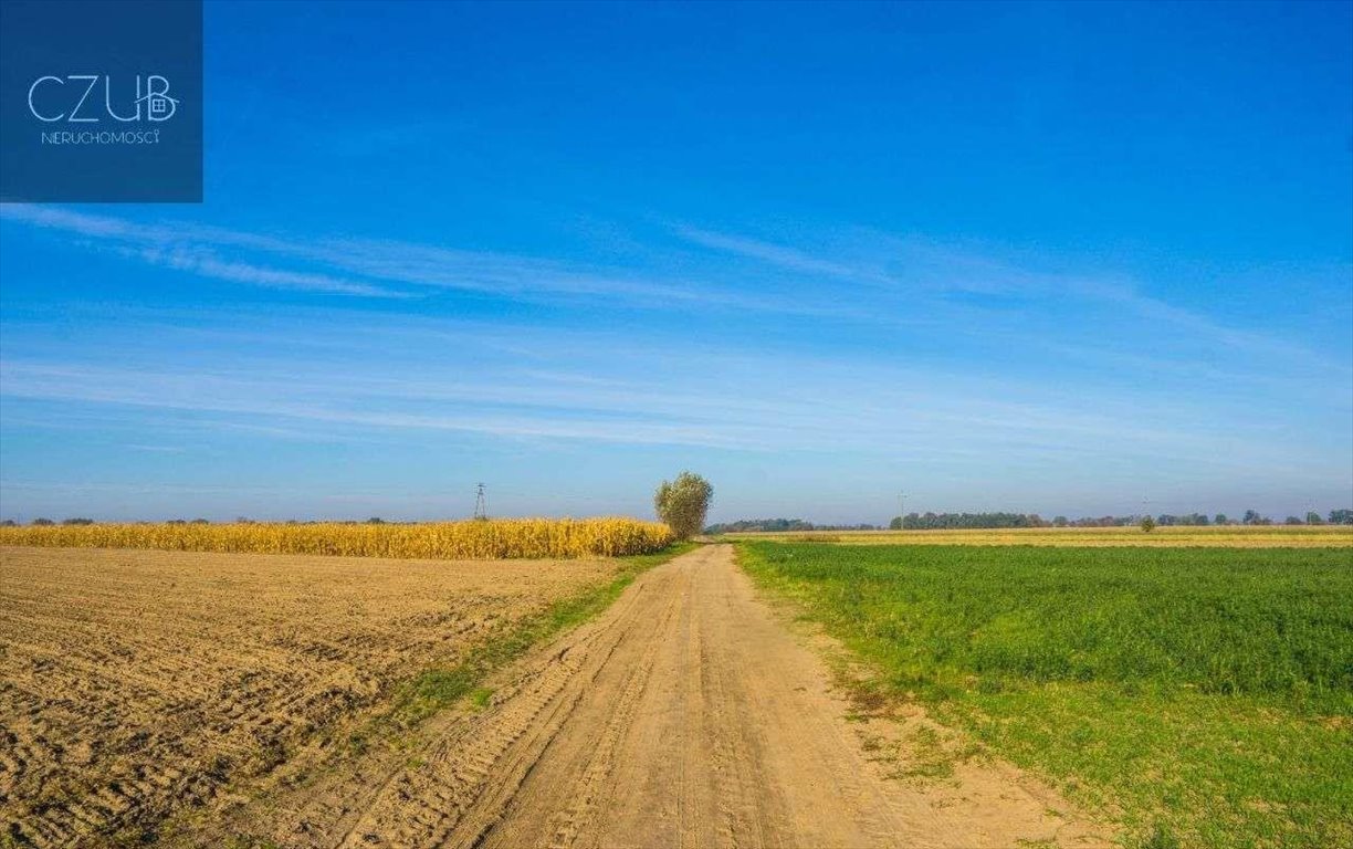 Działka budowlana na sprzedaż Dopiewo, ul. Młyńska  3 731m2 Foto 9