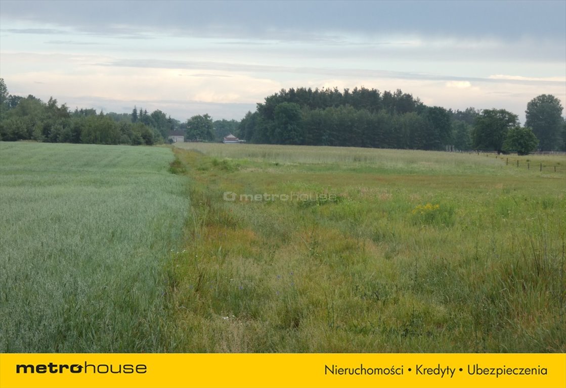 Działka inna na sprzedaż Nowa Mała Wieś  1 000m2 Foto 4