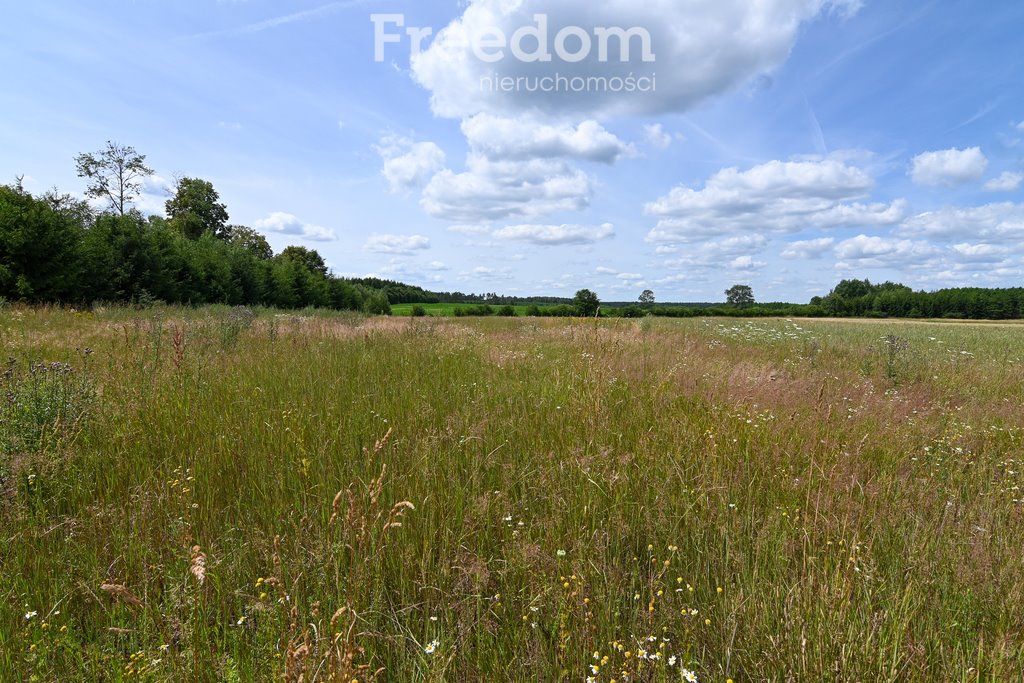 Działka rolna na sprzedaż Szwecja  4 800m2 Foto 2