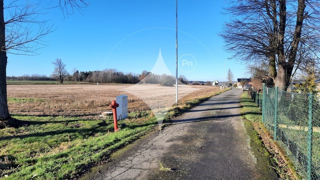 Działka budowlana 1483 m2 w Żeliszowie – uzbrojona, płaska, blisko Bolesławca Żeliszów  1 483m2 Foto 1