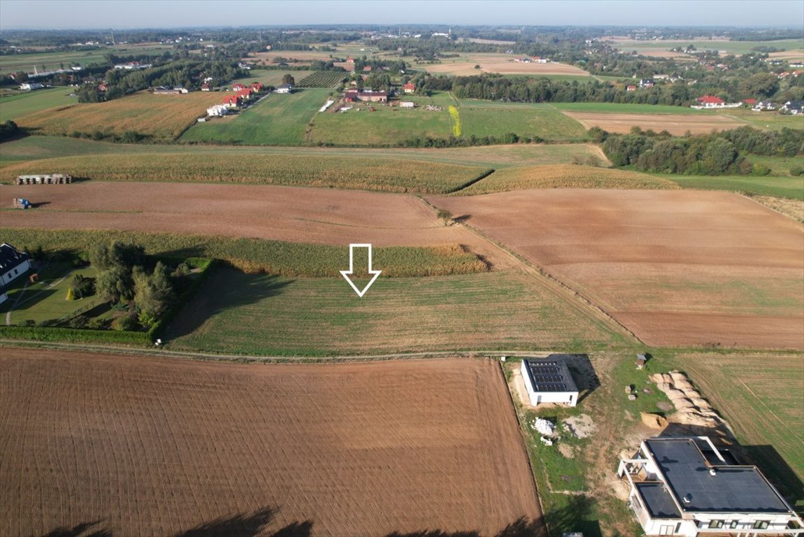 Działka budowlana na sprzedaż Lipniak  6 100m2 Foto 4