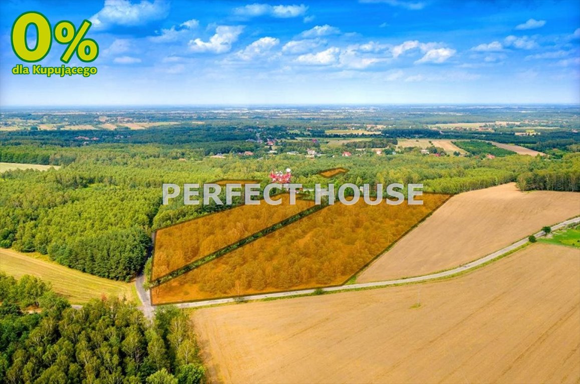 Działka 33 031 m² pod usługi i turystykę, Kopanka Kopanka, Dąbrowa  33 031m2 Foto 1