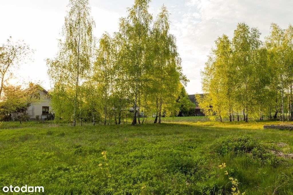 Działka rolna na sprzedaż Szablak  3 019m2 Foto 8