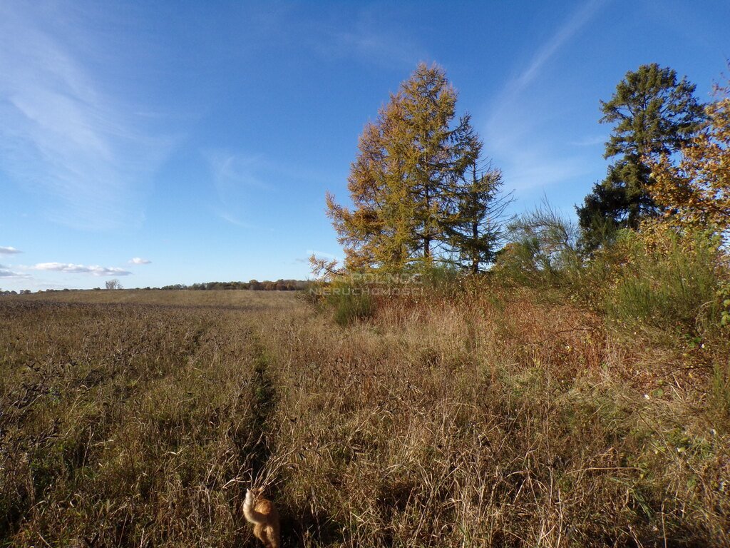 Działka budowlana na sprzedaż Wierzchocino  2 000m2 Foto 6