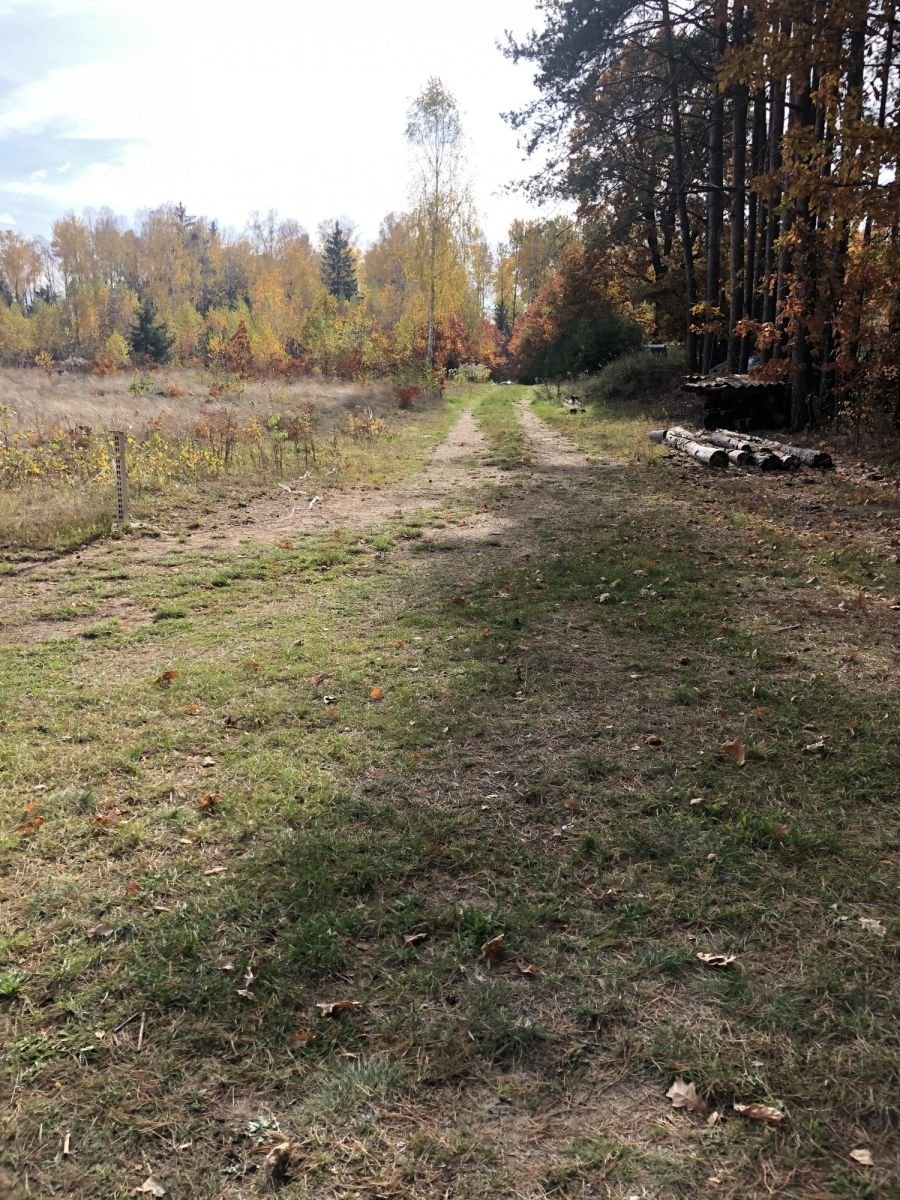 Działka budowlana na sprzedaż Grabówka  976m2 Foto 1