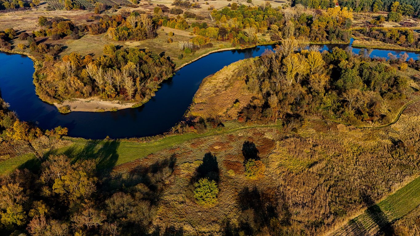 Działka budowlana na sprzedaż Pilica  1 500m2 Foto 1