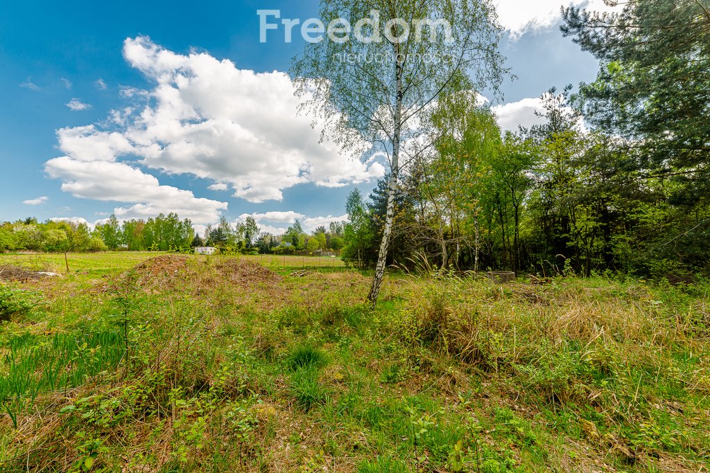 Działka budowlana na sprzedaż Kazimierz, Południowa  2 972m2 Foto 6