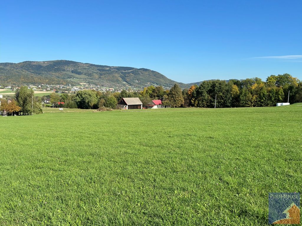 Działka budowlana na sprzedaż Męcina  6 600m2 Foto 12