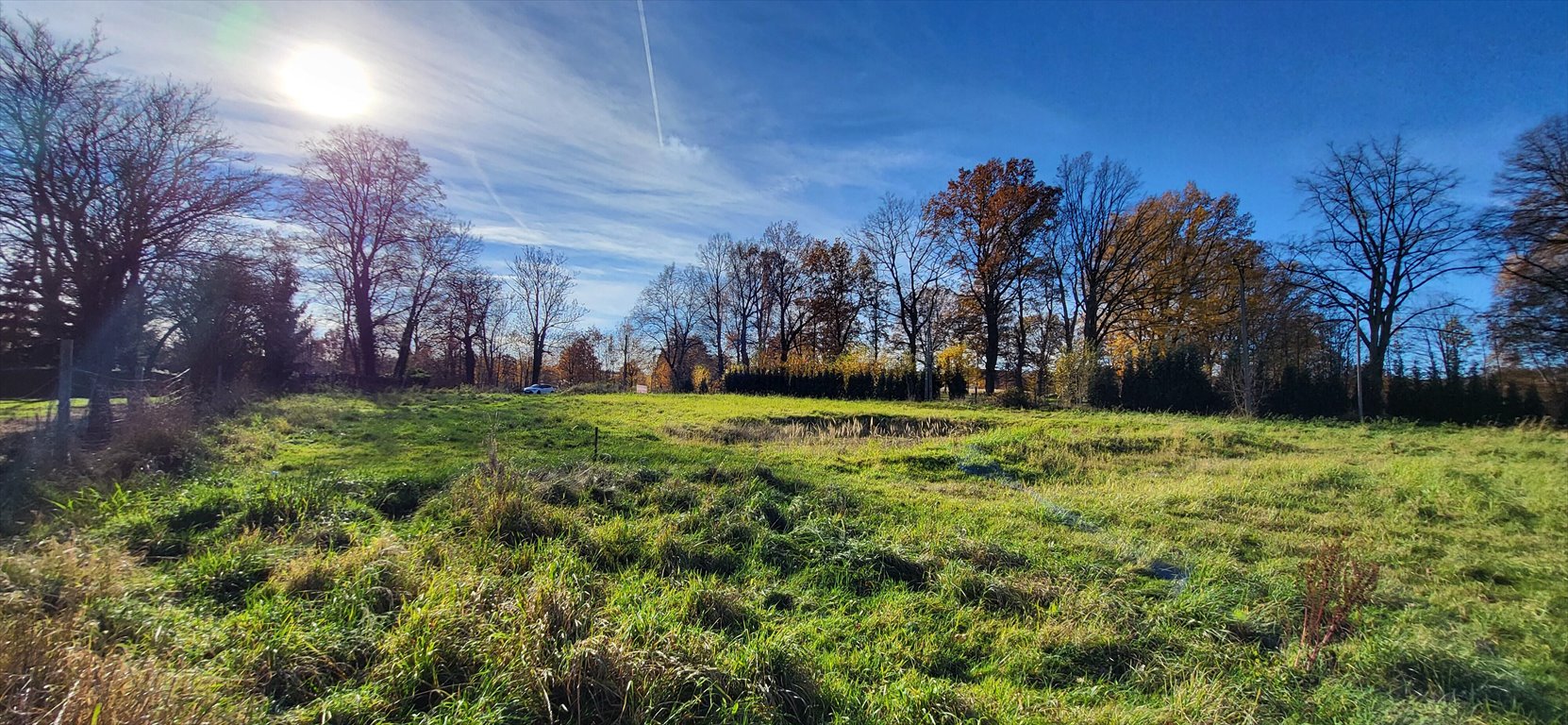 Działka budowlana na sprzedaż Grabiszyce Górne  4 254m2 Foto 1
