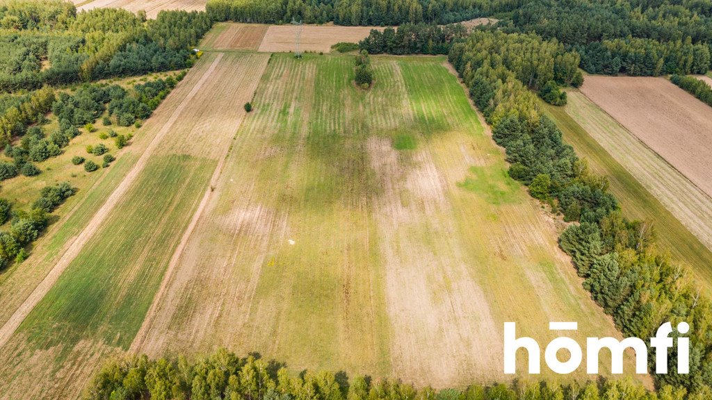 Działka rolna na sprzedaż Zdziechów  45 600m2 Foto 9