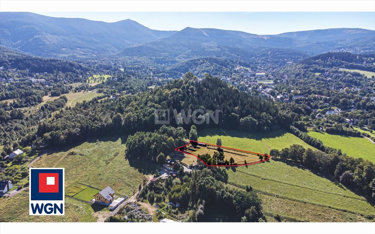 Działka budowlana na sprzedaż Ściegny, Księża Góra  4 010m2 Foto 8