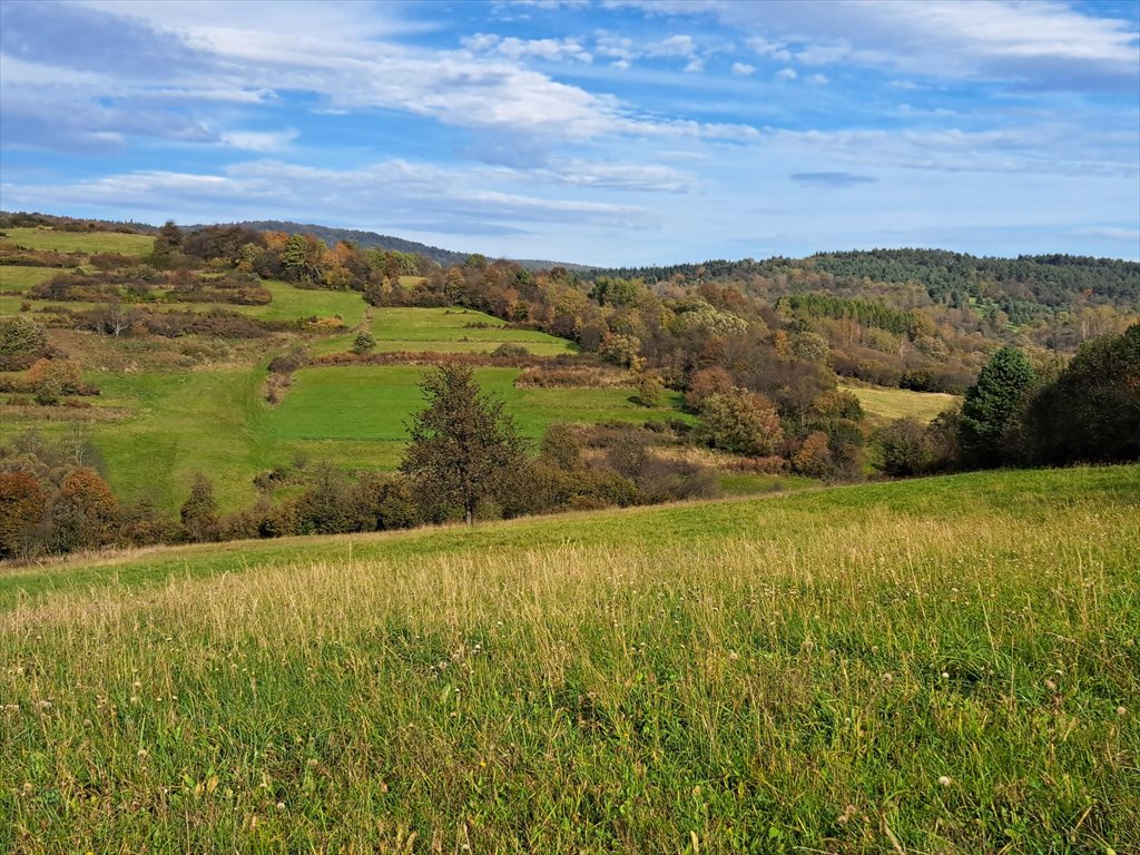 Działka rolna na sprzedaż Posada Jaśliska  9 900m2 Foto 10