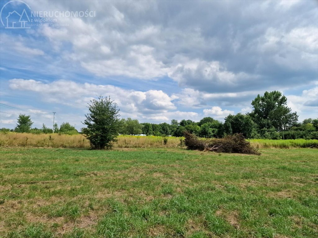 Działka budowlana na sprzedaż Krzeczów  1 100m2 Foto 7