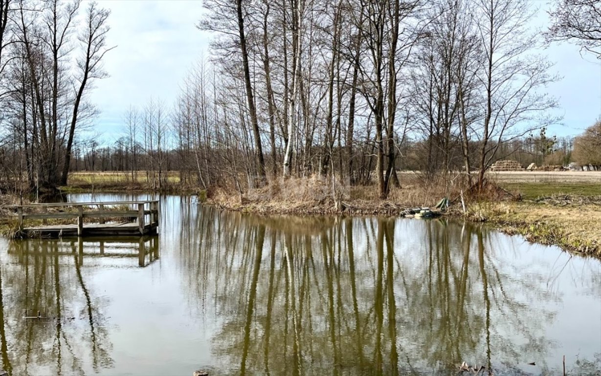 Działka inna na sprzedaż Brzozówka, Brzozówka  99 000m2 Foto 6