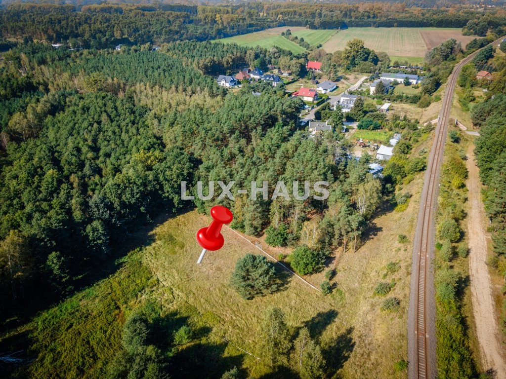 Działka leśna z prawem budowy na sprzedaż Strzyżawa  8 700m2 Foto 1