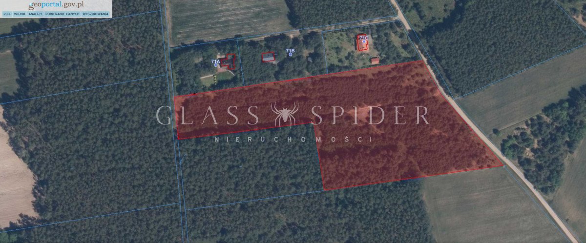 Działka siedliskowa na sprzedaż Łopacin  20 258m2 Foto 1