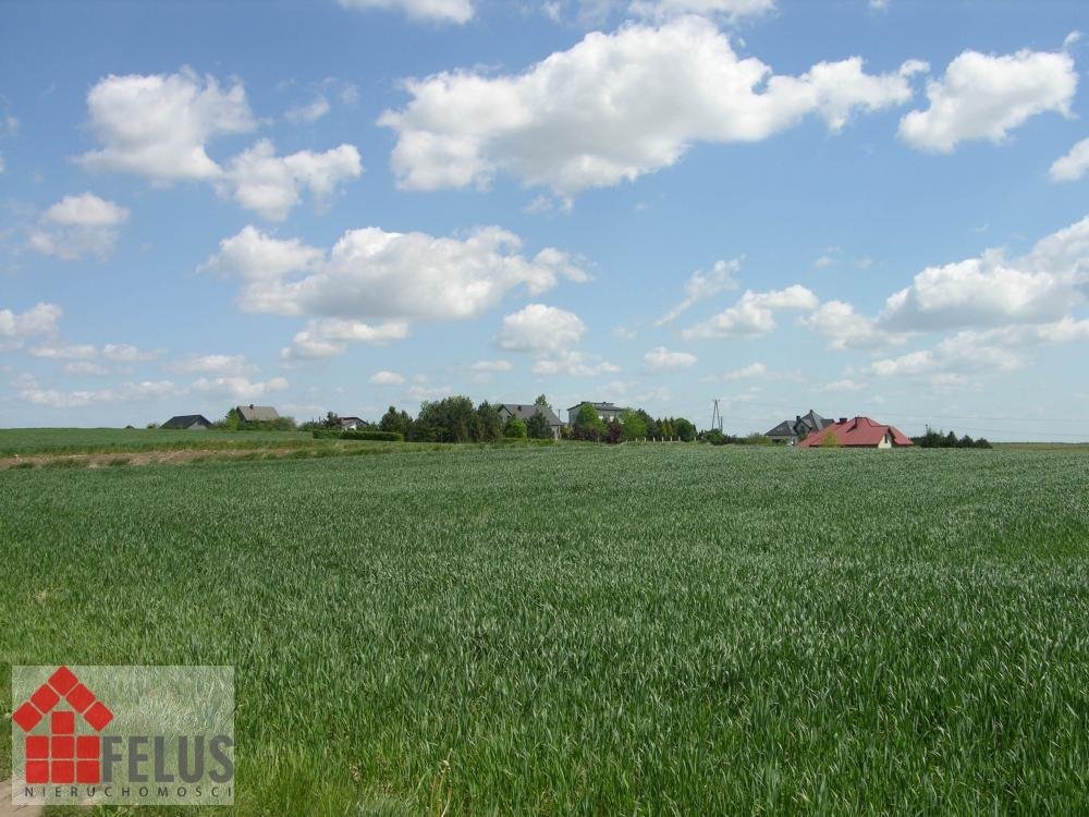 Działka inna na sprzedaż Opatkowice  5 000m2 Foto 6