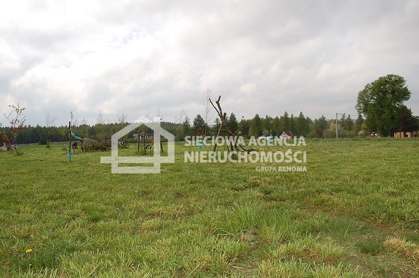 Działka rolna 5000 m² z możliwością zabudowy w Lisewcu Lisewiec  5 000m2 Foto 1