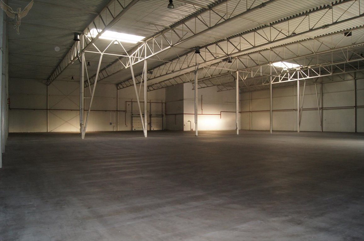 Magazyn na sprzedaż Kórnik  14 500m2 Foto 10