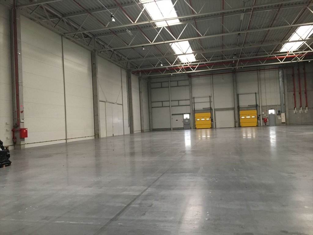 Nowoczesna hala magazynowa 695 m2 z wysokim składem i monitoringiem Siemianowice Śląskie  695m2 Foto 1