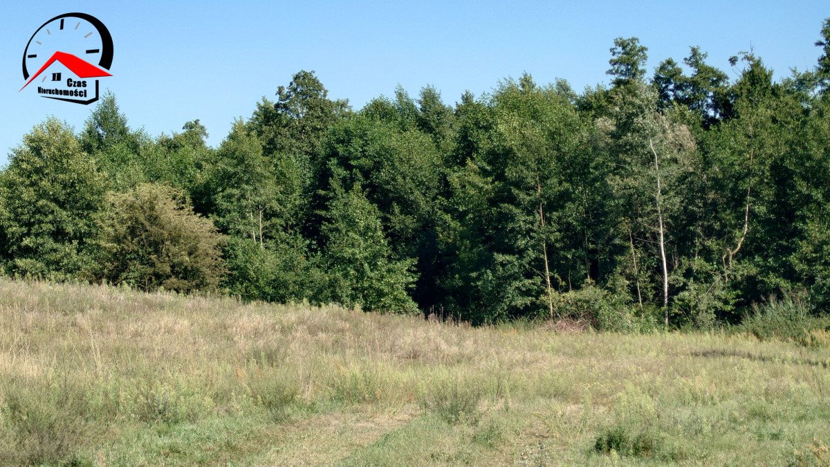 Działka gospodarstwo rolne na sprzedaż Góraj  15 062m2 Foto 1