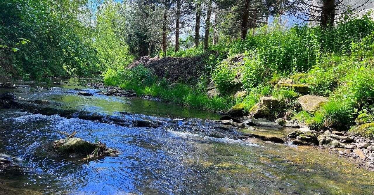 Działka inna na sprzedaż Rogi  800m2 Foto 2