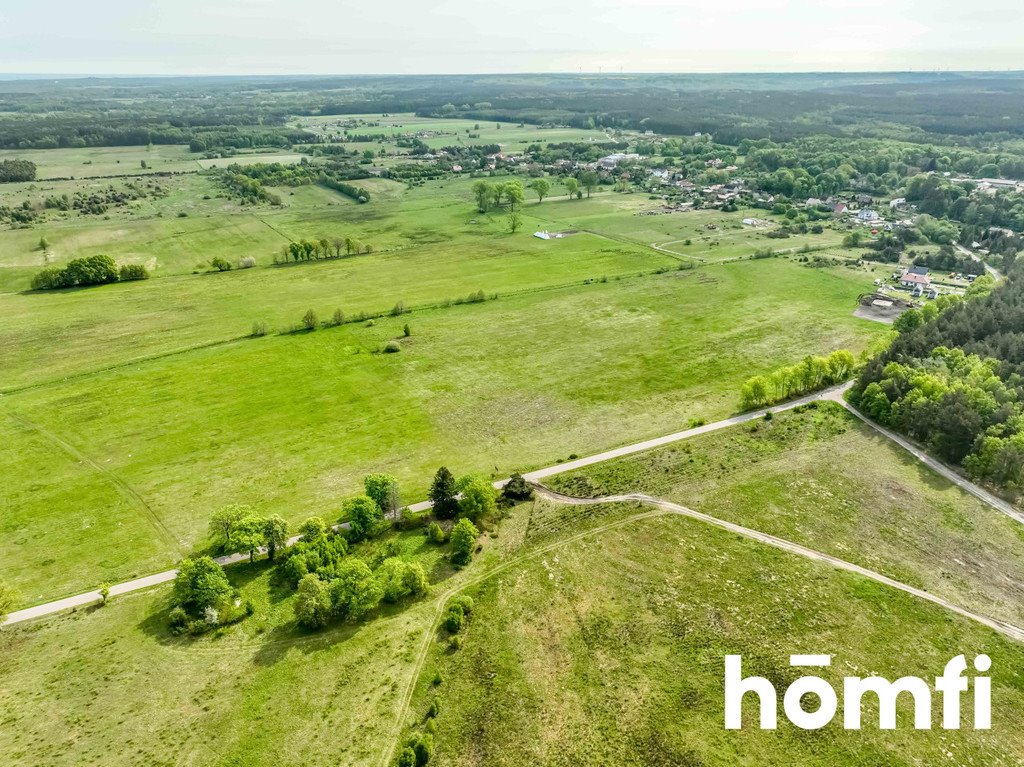 Działka budowlana na sprzedaż Szczenurze, Łebska  50 000m2 Foto 7