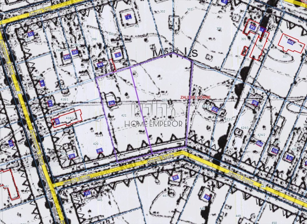 Działka budowlana na sprzedaż Zalesie Górne, Jelenich Rogów  5 391m2 Foto 1