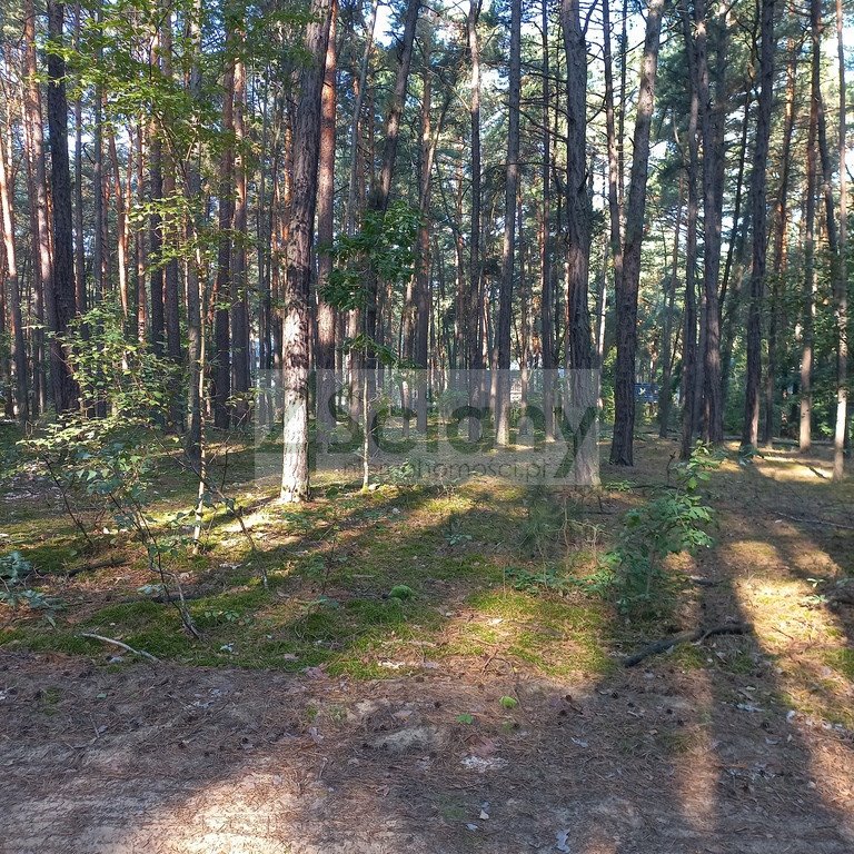 Działka budowlana na sprzedaż Sękocin-Las  2 100m2 Foto 1
