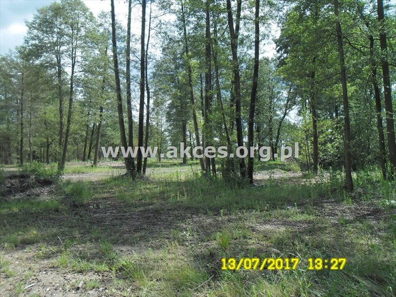 Działka budowlana na sprzedaż Bieganów, - 1 500m2 Foto 1 Działka budowlana na sprzedaż Bieganów, - 1 500m2 Foto 1